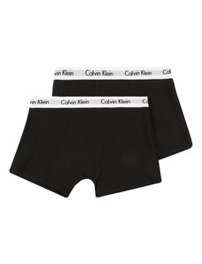 Calvin Klein Underwear Aluspüksid must / valge