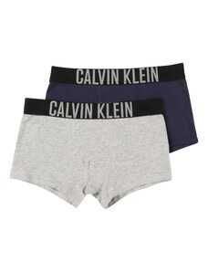 Calvin Klein Underwear Aluspüksid sinine / hall