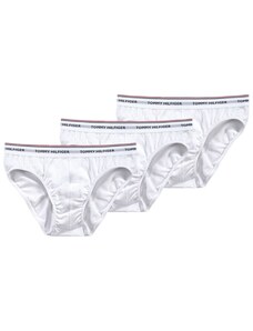 Tommy Hilfiger Underwear Püksikud meresinine / valge