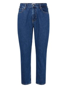Calvin Klein Jeans Teksapüksid 'DAD' sinine teksariie