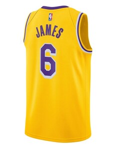 Nike NBA Icon Edition Swingman Jersey Los Angeles Lakers LeBron James