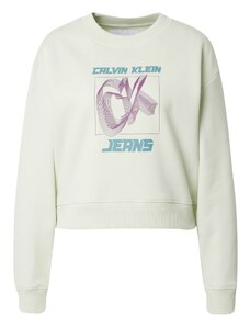 Calvin Klein Jeans Dressipluus 'Relaxed' mündiroheline / jadeiit / lilla