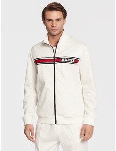 Pluus Guess