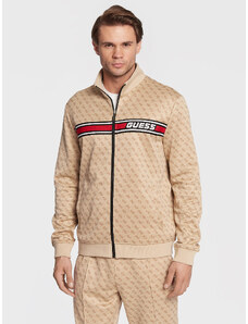 Pluus Guess