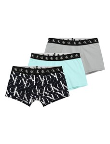 Calvin Klein Underwear Aluspüksid rohekassinine / hall / must / valge