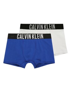 Calvin Klein Underwear Aluspüksid 'Intense Power' sinine / must / valge