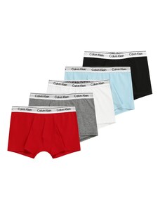 Calvin Klein Underwear Aluspüksid helesinine / hall / punane / must / valge