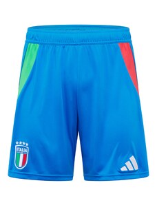 ADIDAS PERFORMANCE Spordipüksid 'Italy 24' sinine / roheline / helepunane / valge