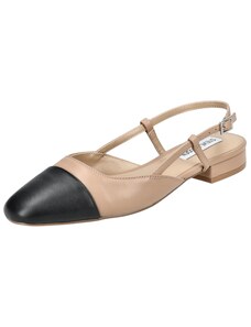STEVE MADDEN Baleriina 'BELINDA' pruun / must