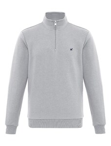 Williot Dressipluus meresinine / hall