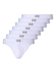 TOM TAILOR Püksikud meresinine / valge