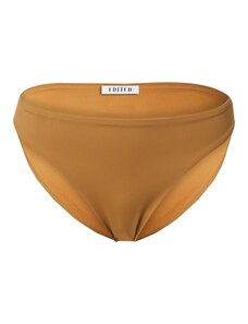 EDITED Bikiinipüksid 'Ike' pruun / brokaat