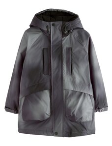 Next Kevad-sügisjope antratsiit / kivi