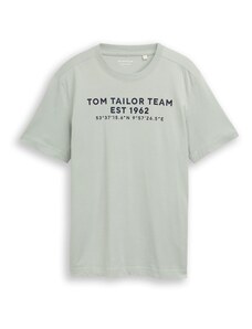 TOM TAILOR Särk kivi / must