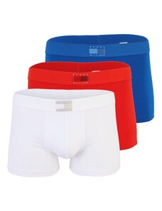Tommy Hilfiger Underwear Bokserid sinine / punane / valge