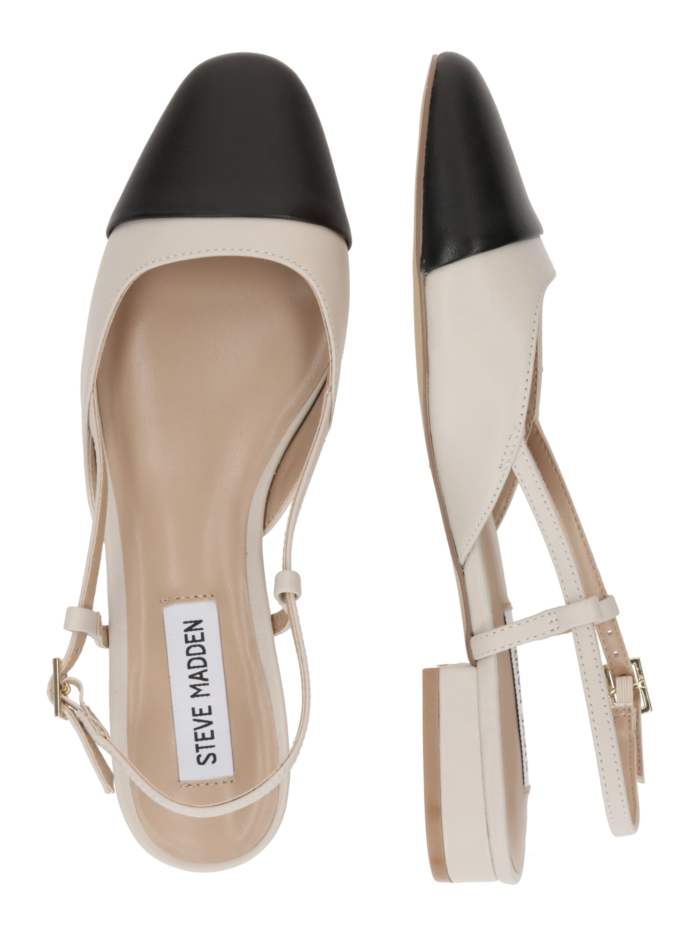 STEVE MADDEN Baleriina 'BELINDA' helehall / must