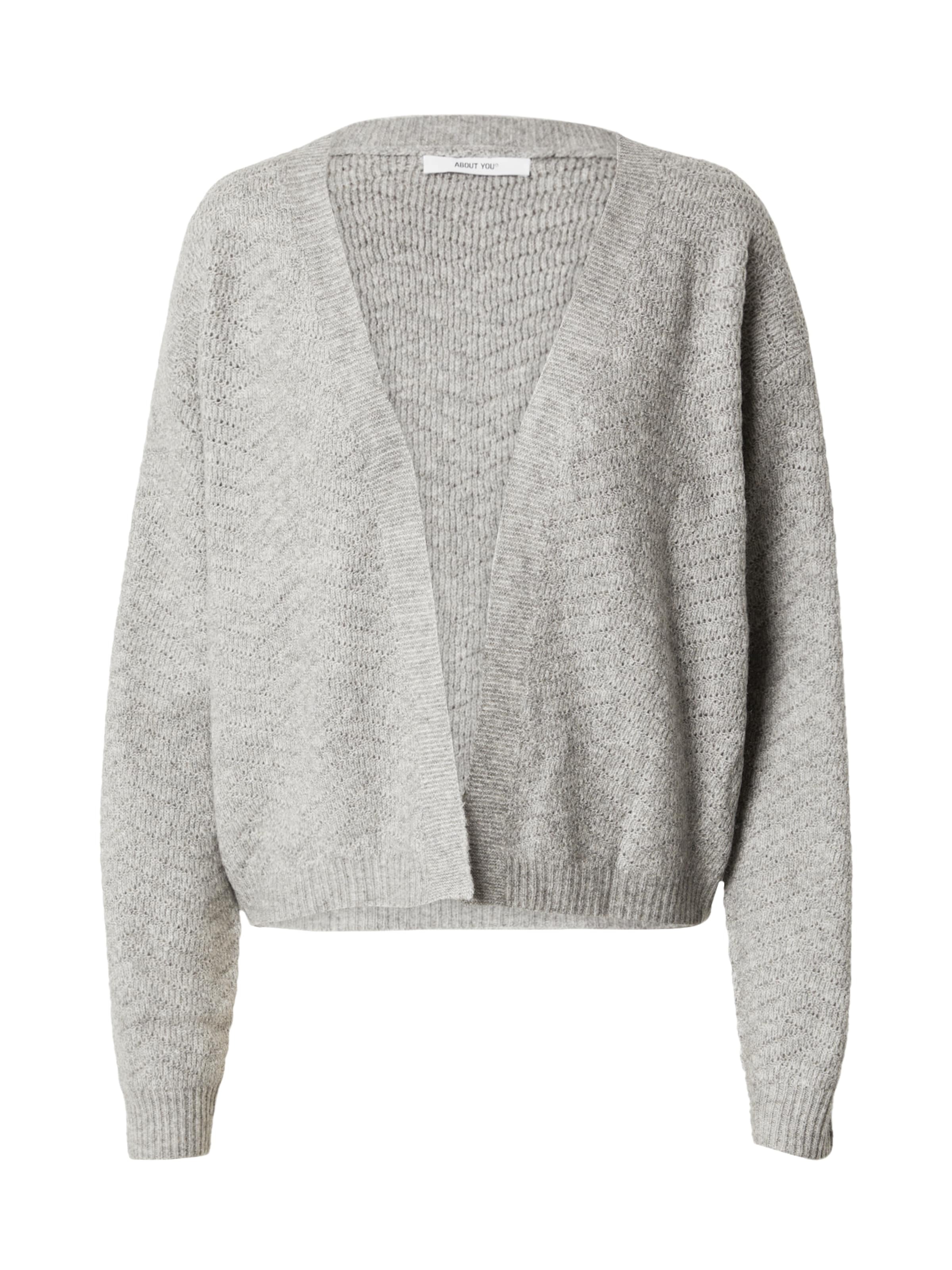 ABOUT YOU Kampsun 'Rowan' meleeritud hall