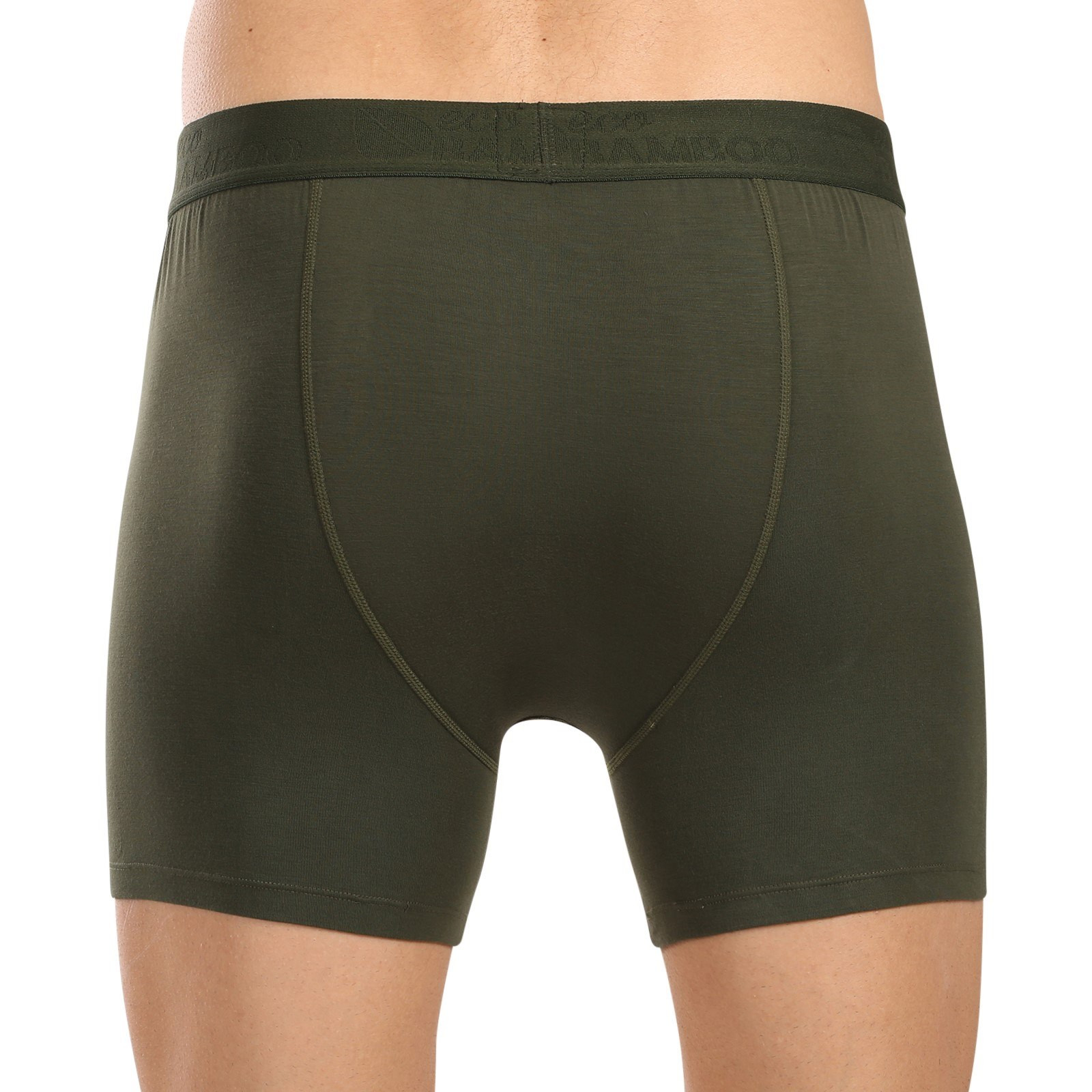 Meeste bokserid Gino roheline (74160-DCZ)