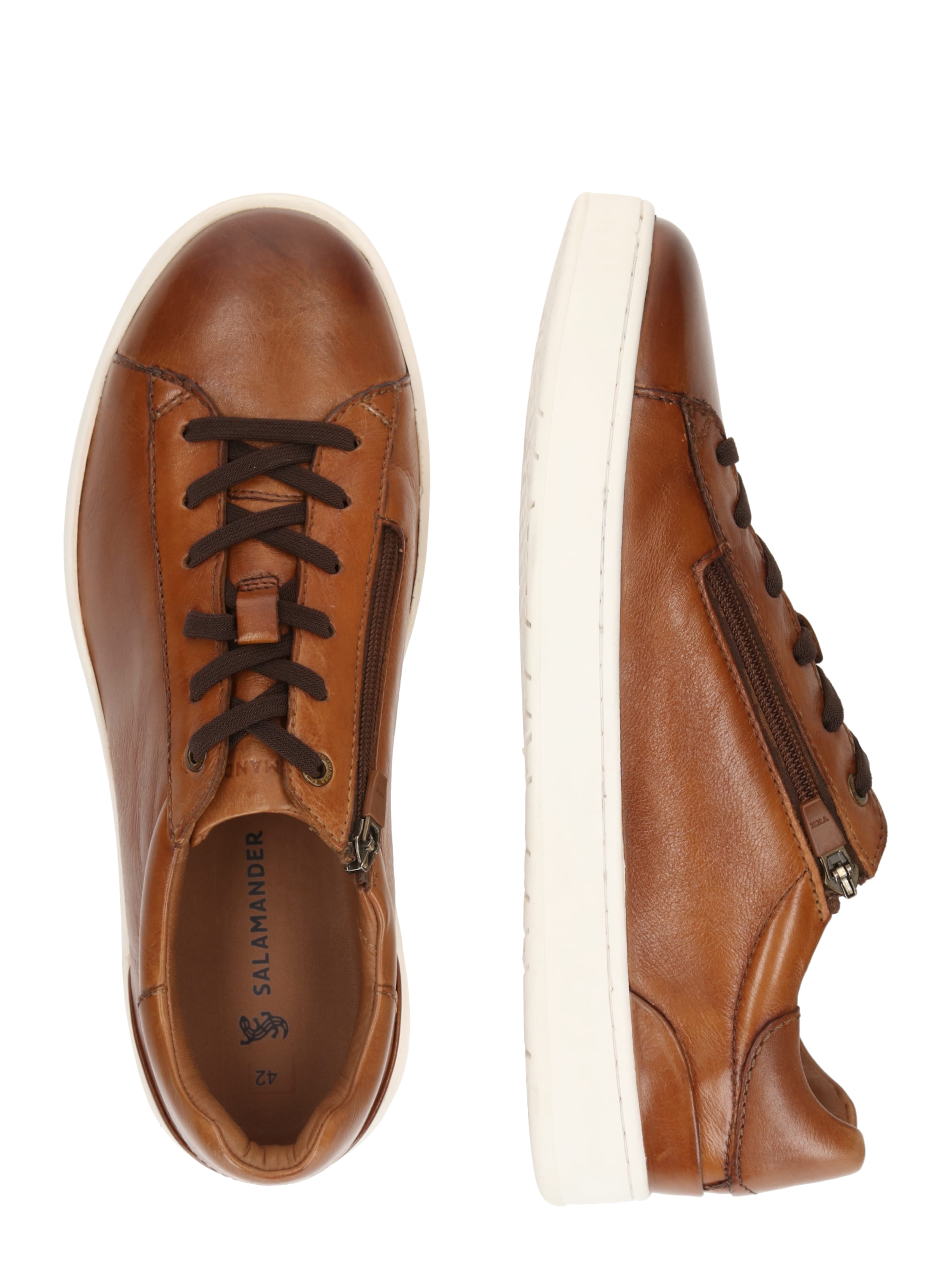 SALAMANDER Madalad ketsid konjak