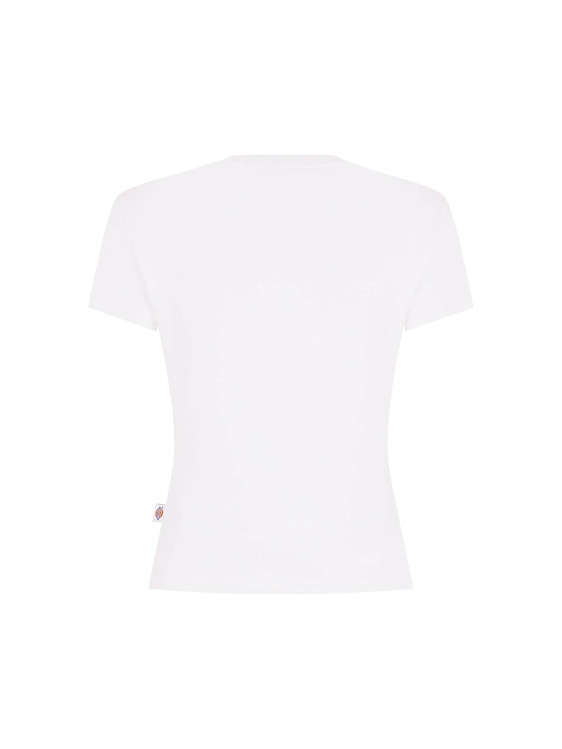 DICKIES Särk '6E98' must / valge