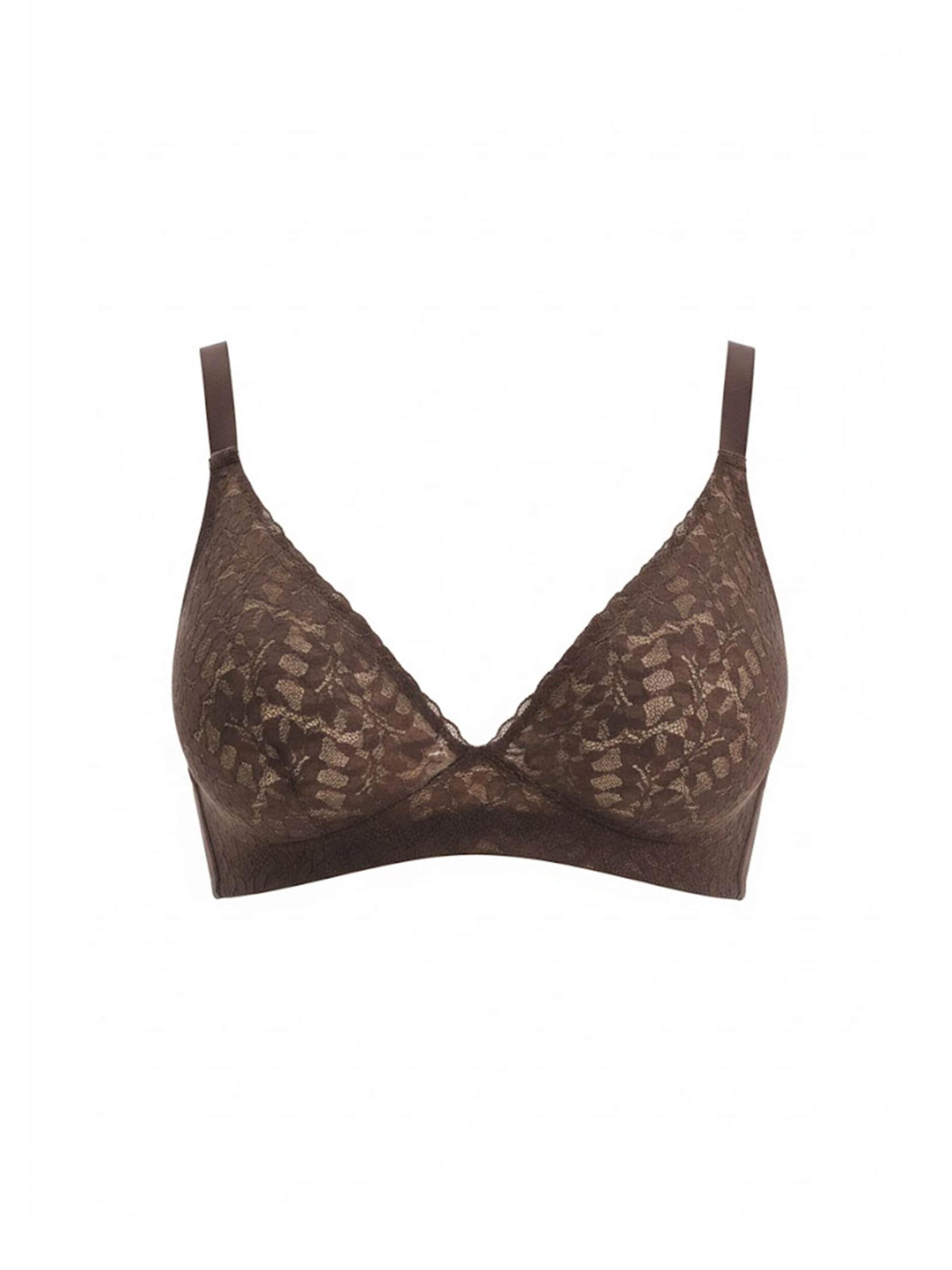 Dagi Rinnahoidja pruun