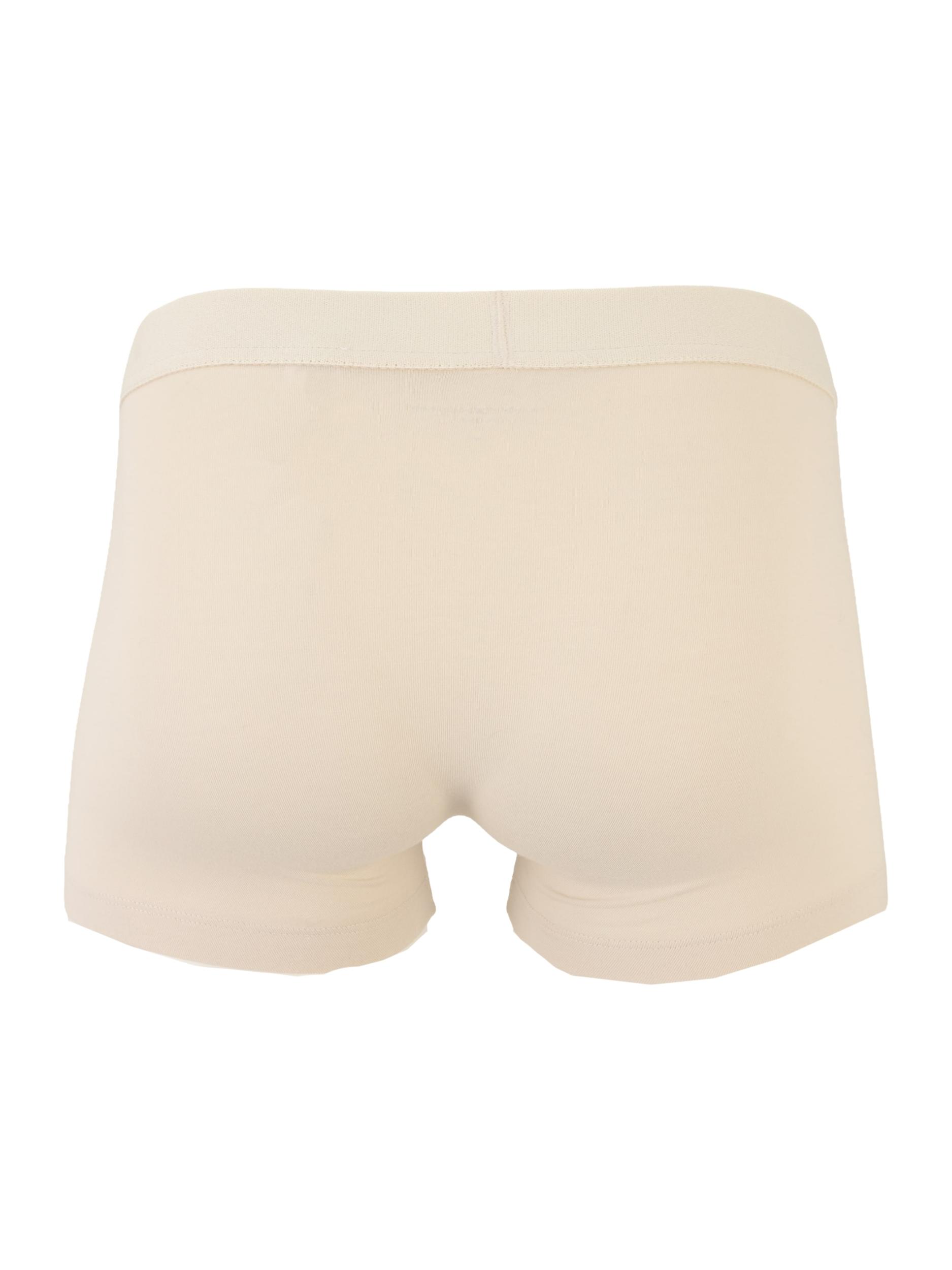 Tommy Hilfiger Underwear Bokserid helepruun / meresinine / khaki