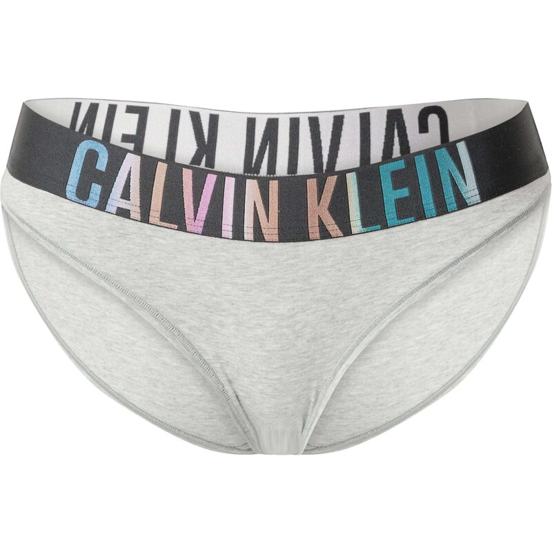 Calvin Klein Underwear Püksikud tsüaansinine / meleeritud hall / roosa / must