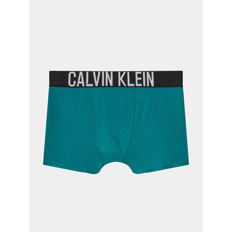 Komplekti kuulub 2 paari boksereid Calvin Klein Underwear