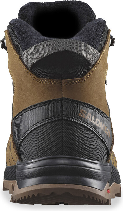 Matkajalatsid Salomon