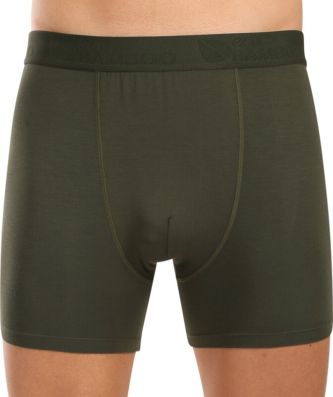 Meeste bokserid Gino roheline (74160-DCZ)