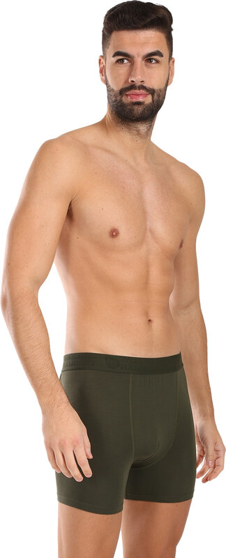 Meeste bokserid Gino roheline (74160-DCZ)
