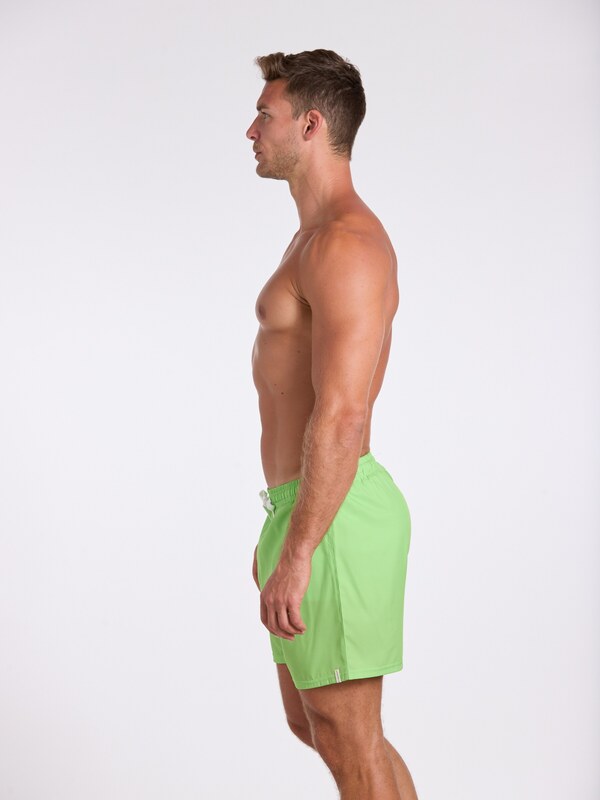 wavebreaker Ujumispüksid heleroheline / valge