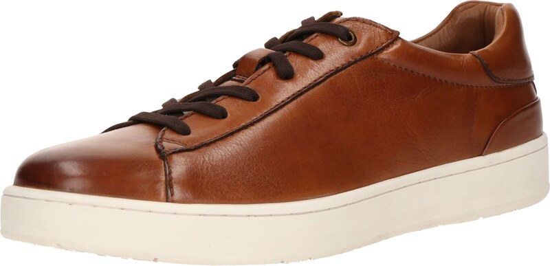 SALAMANDER Madalad ketsid konjak