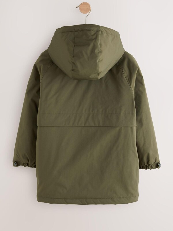 Next Kevad-sügisjope oliiv