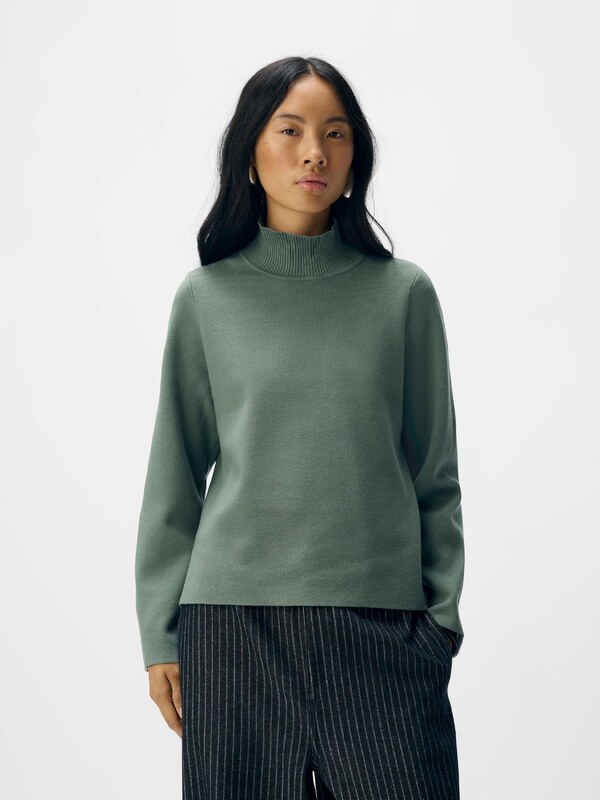 OBJECT Kampsun 'OBJReynard' mündiroheline