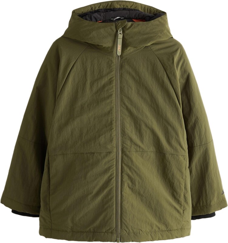 Next Kevad-sügisjope oliiv