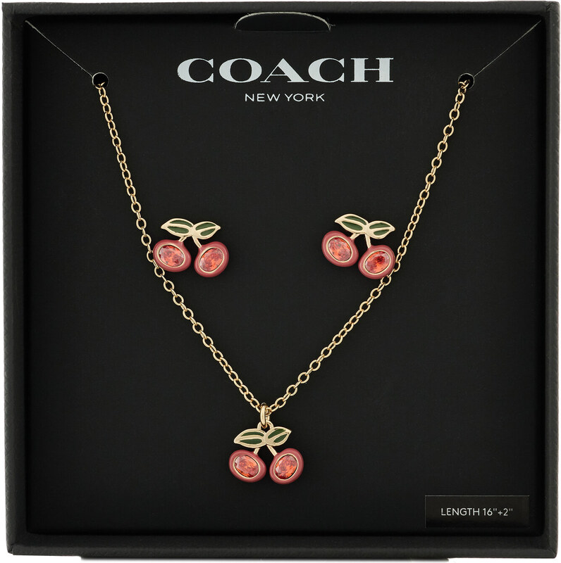 Komplekti kuuluvad kaelakee ja rõngad Coach