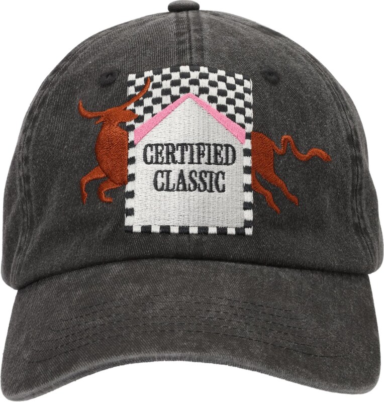 Kamila Šikl Nokamüts must