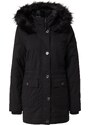 HOLLISTER Talveparka must