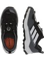 ADIDAS TERREX Spordijalats 'Ax4s' basalthall / must / valge