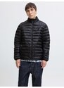 JACK & JONES Kevad-sügisjope 'JJPRIME' must