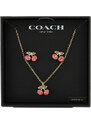 Komplekti kuuluvad kaelakee ja rõngad Coach