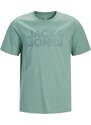 Jack & Jones Junior Särk 'JJECorp' pastellroheline