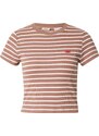 LEVI'S  Särk 'Essential Sporty Tee' helepruun / valge