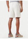 Spordišortsid Napapijri