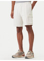 Spordišortsid Napapijri